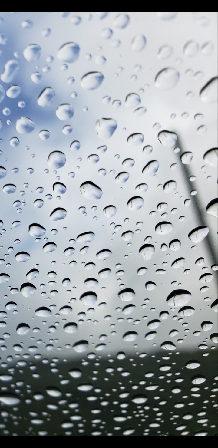 rain