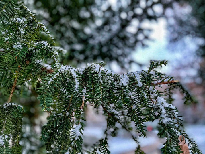 Snow