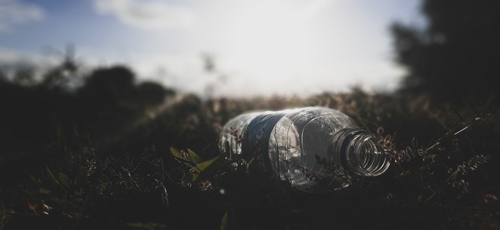 the bottle