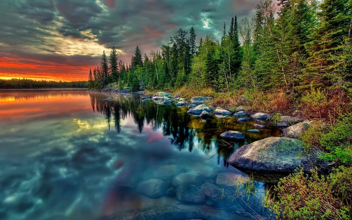 Nature's Beauty