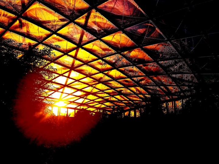 Sunset in Zoo