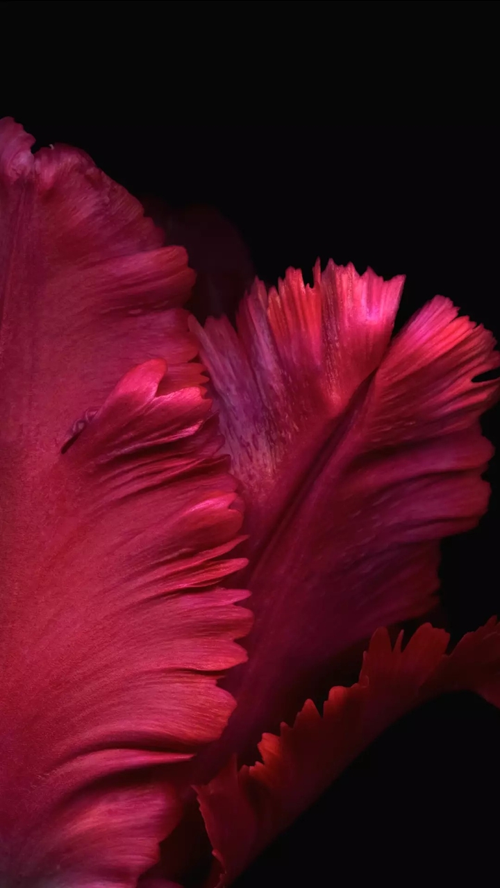 #crimson