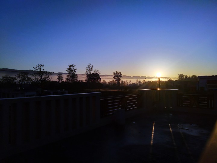 morning