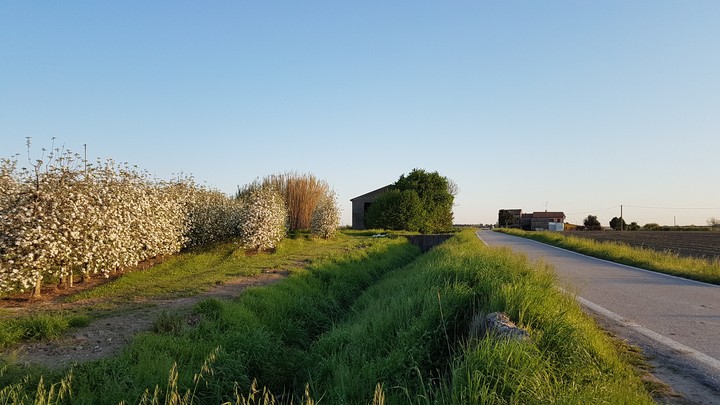in campagna