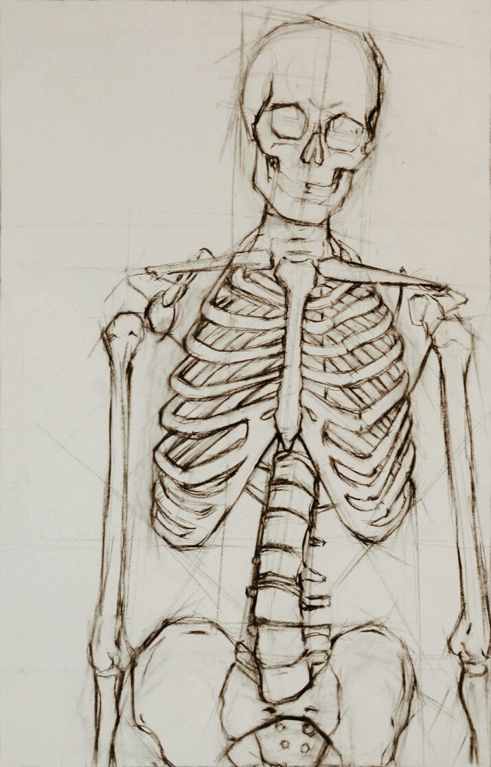Skeletal