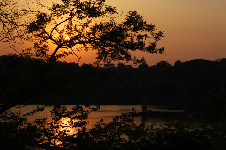 Scenics