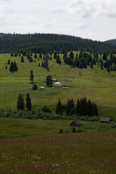 sfondi pasture, landscapes