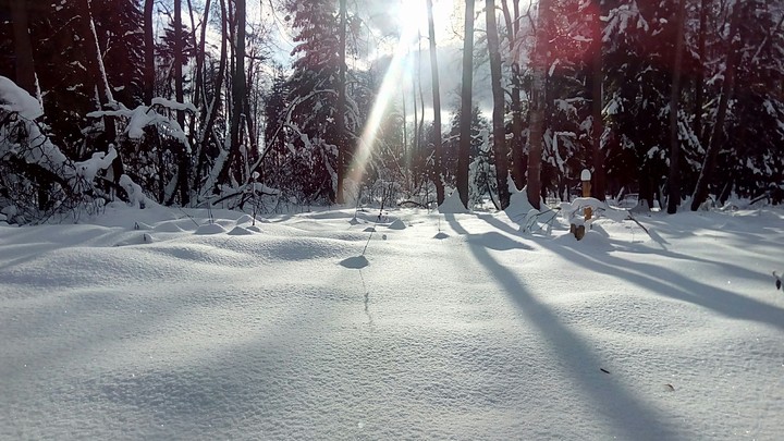зимнее солнце