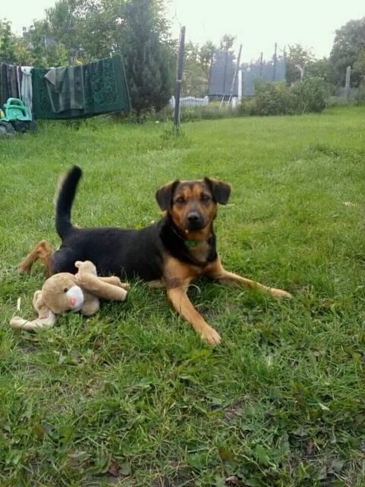 max