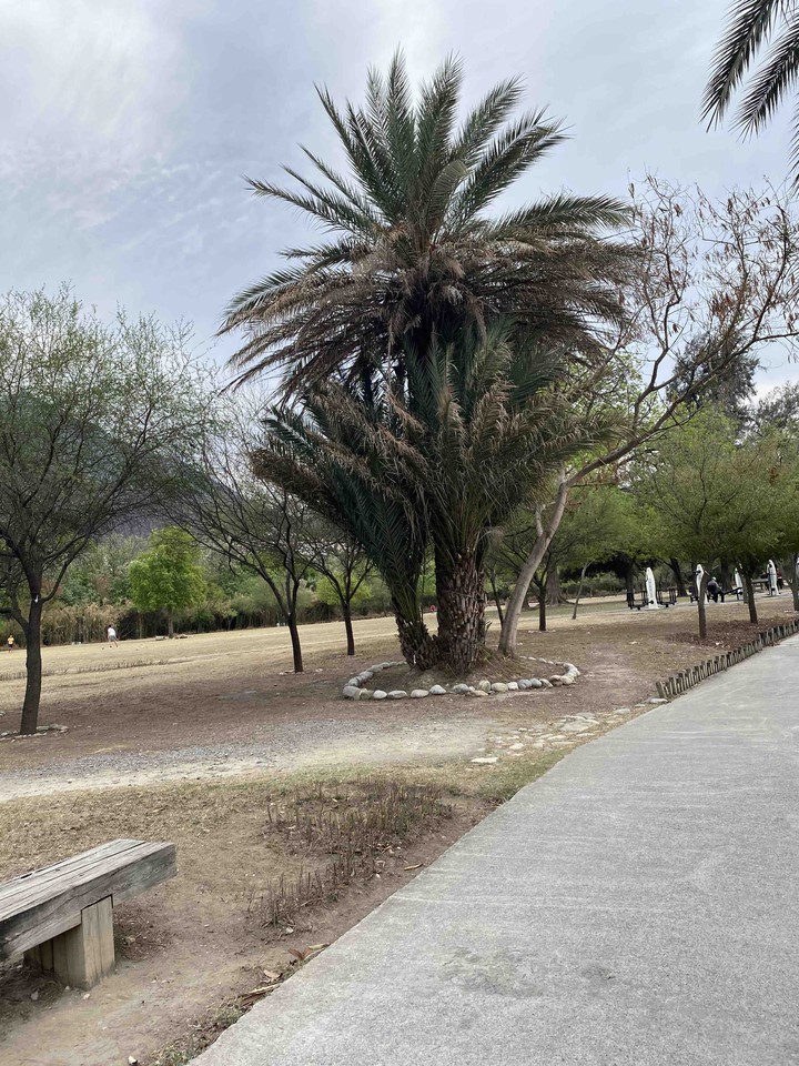 parque