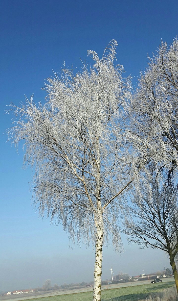 Winter tag
