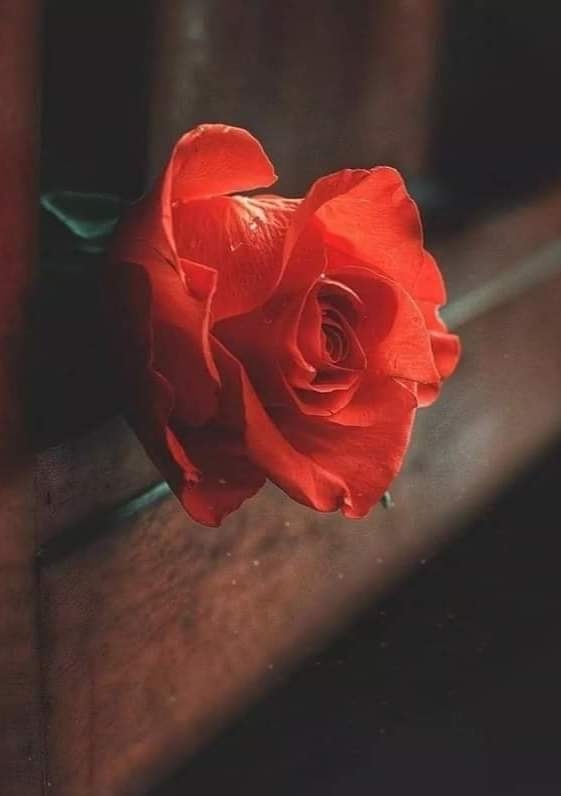 D❤️"The best part of us: YOU"