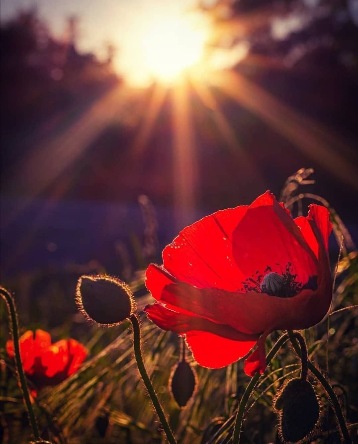 25/06/2021⚘