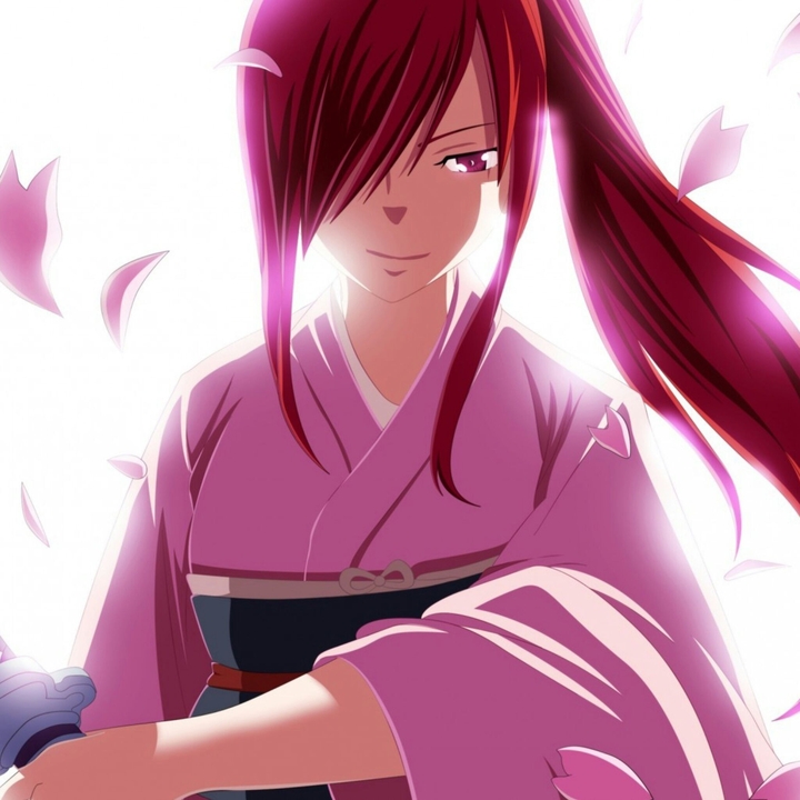 Fairy Tail (Erza Scarlet)