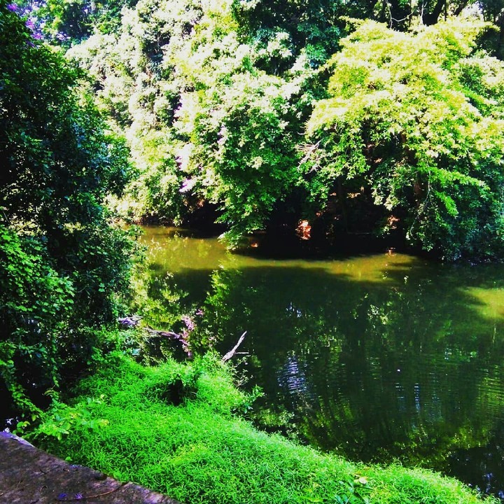 the green river