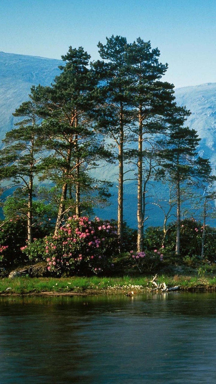 nature at a glance