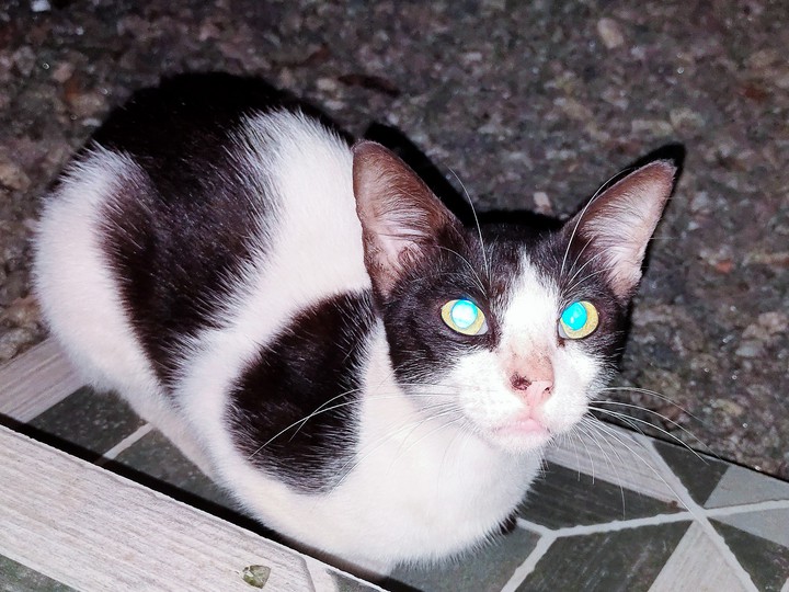 This is my chakki poocha.don't understand yeh I'm a mallu..