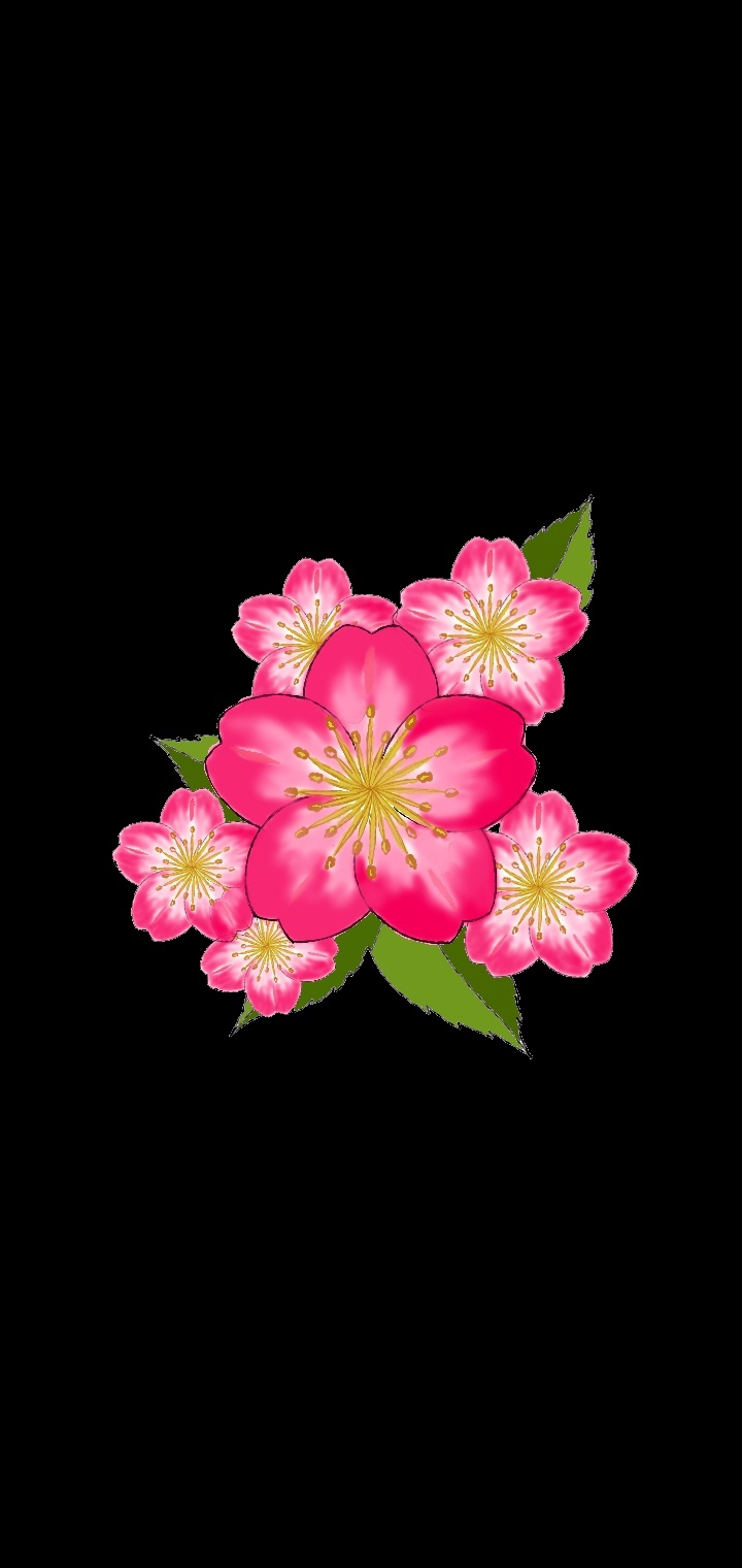 cherry blossom digital art