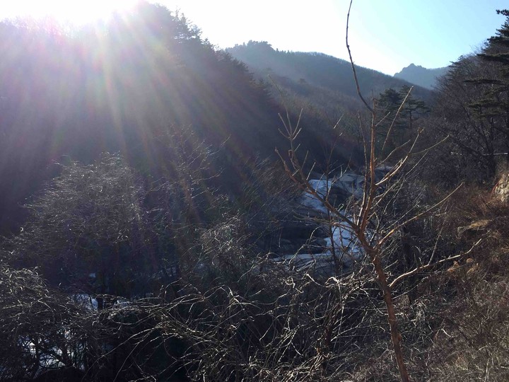 산