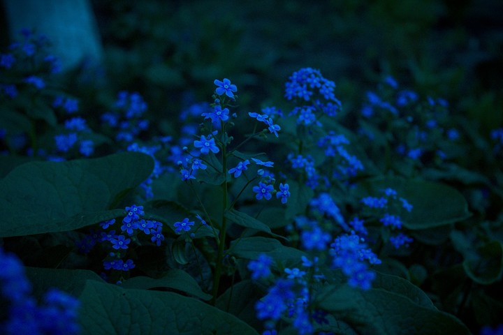 blue