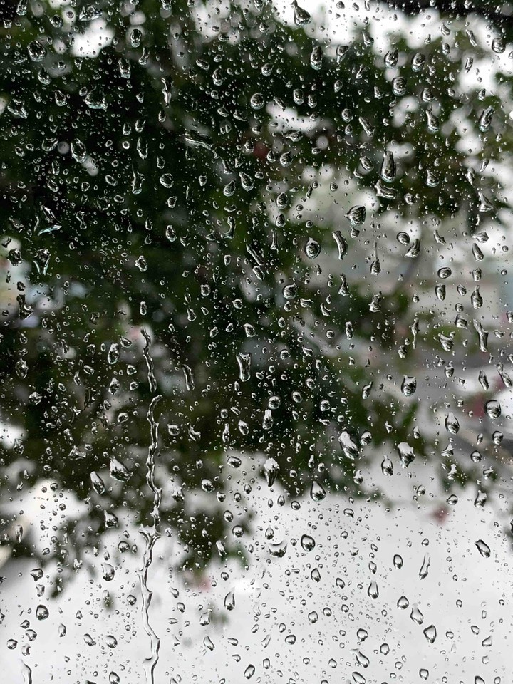 Rain
