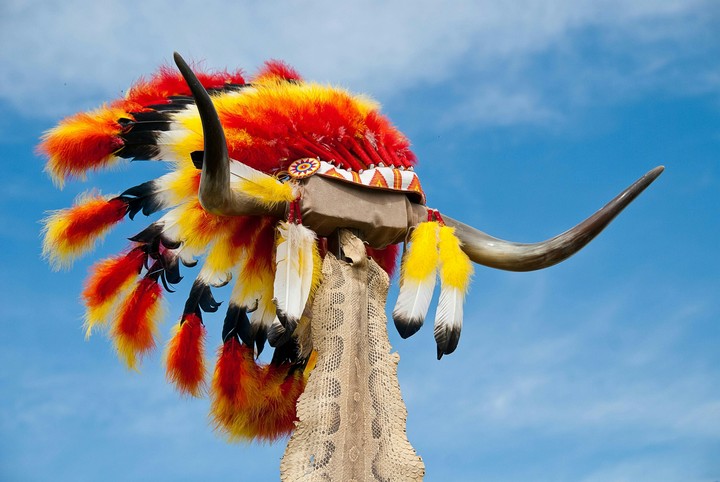 Head Dress