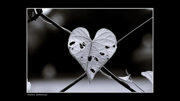 broken heart