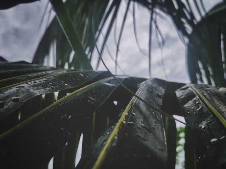 Raining