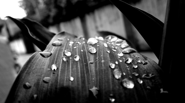 Water Droplets