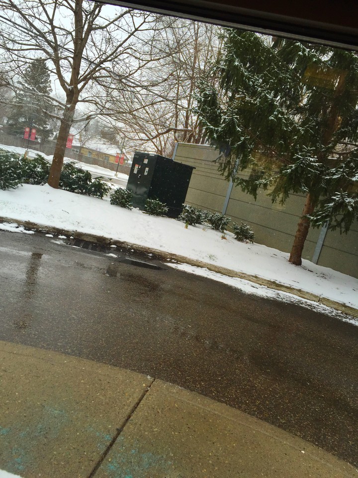 Beautiful winter