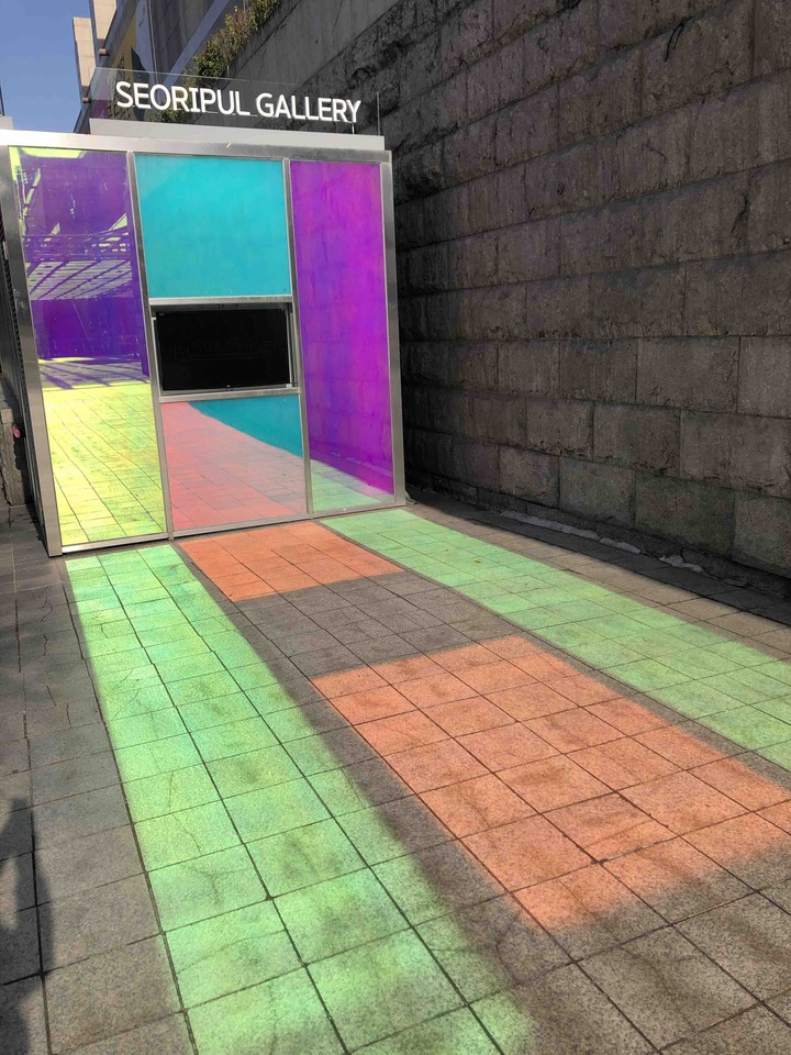 The Reflection of Light