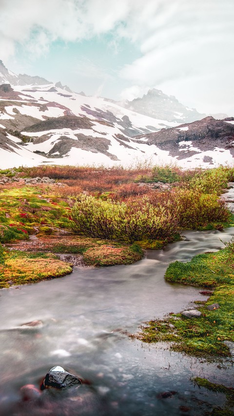 nature