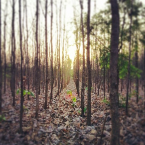 nature at it's best