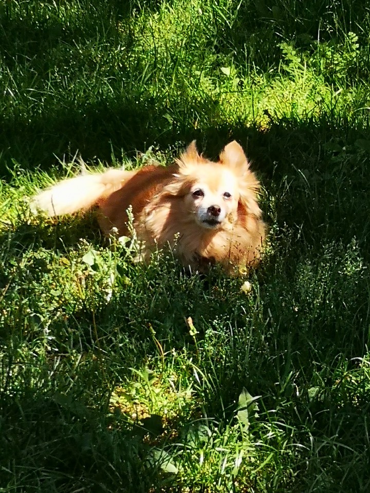 Roxy