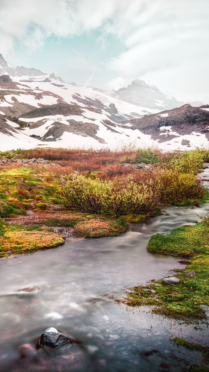 nature