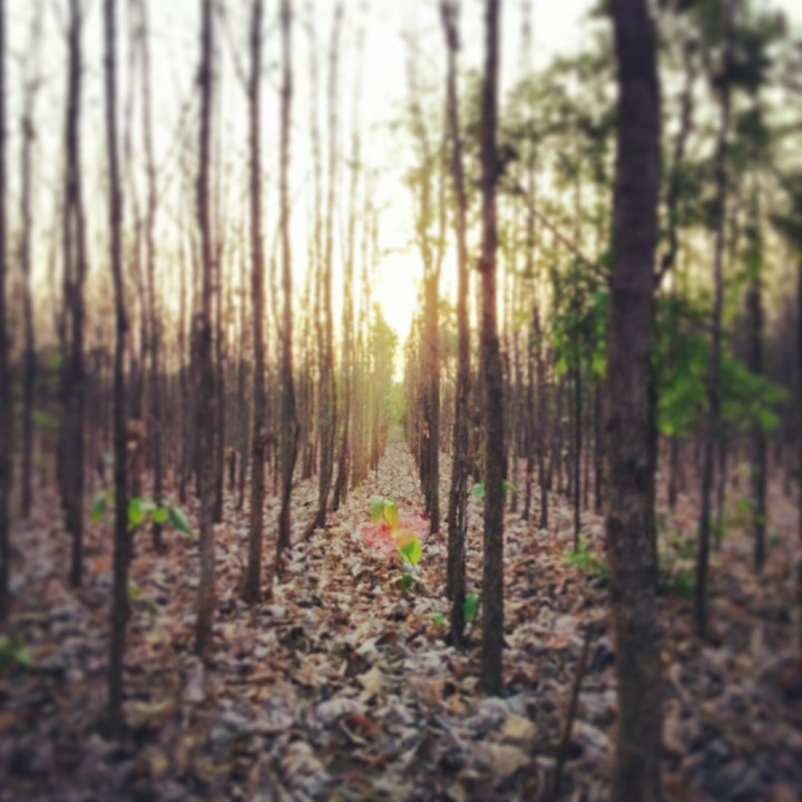 nature at it's best