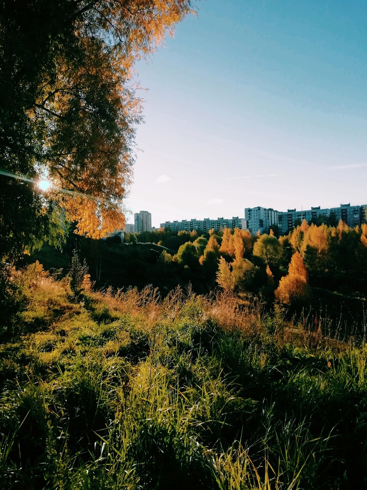 утро