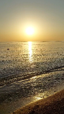 paradise