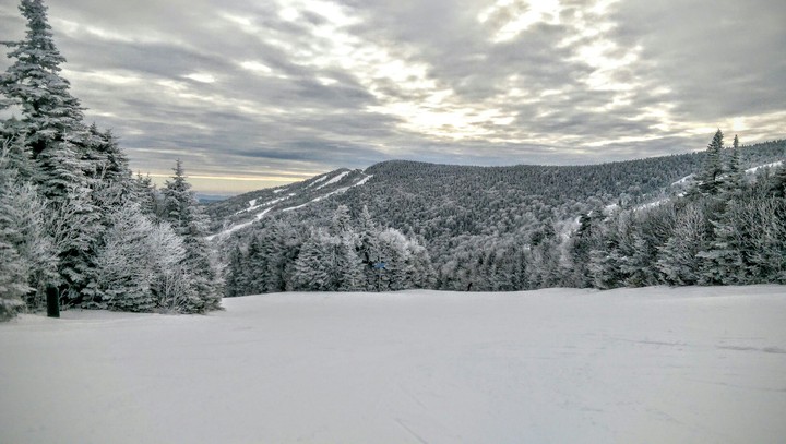 Sugar Bush Vermont
