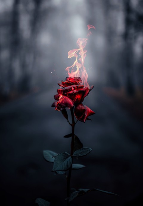 wallpaper