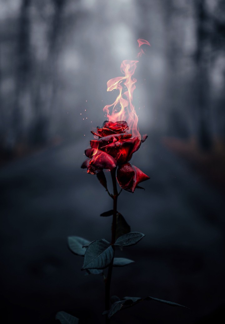 wallpaper