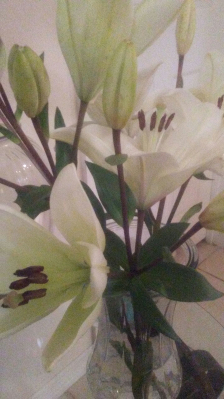 white lilies