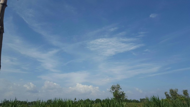 sky