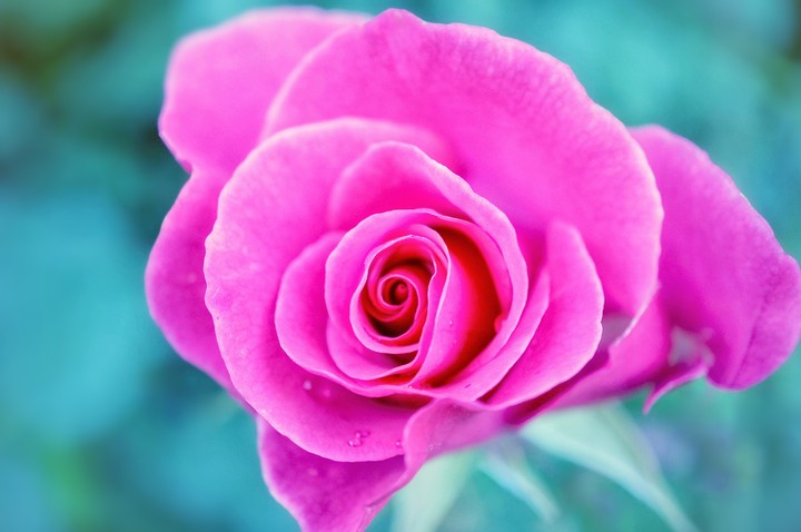 8 March Happy International Women's Day