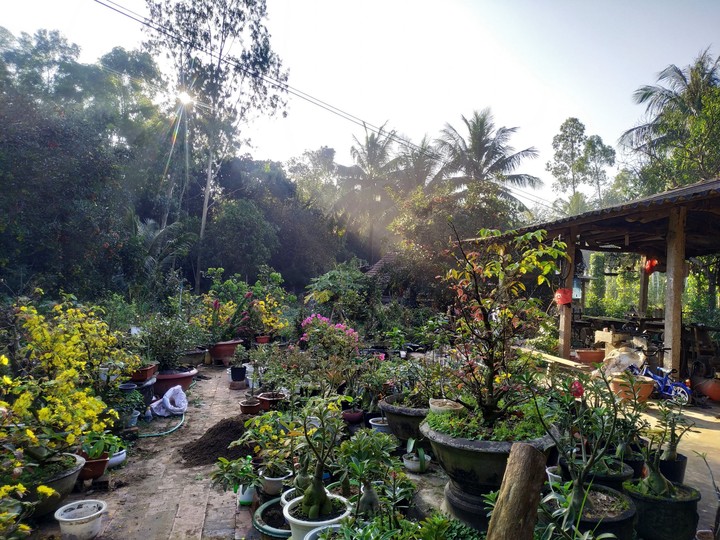 garden