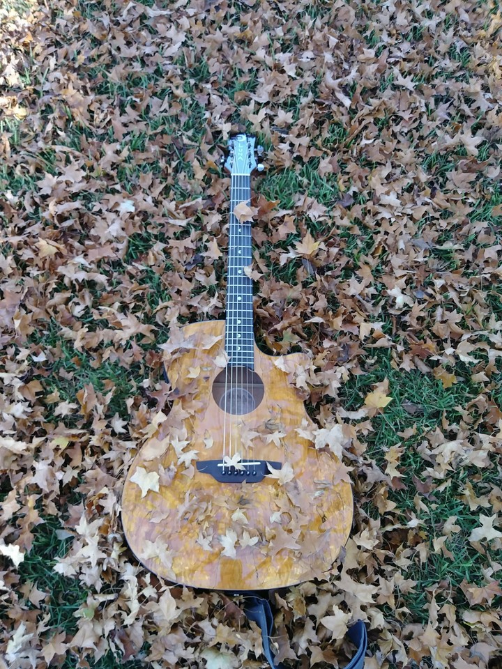 Guitar