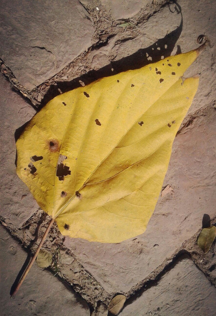 When Love has almost gone