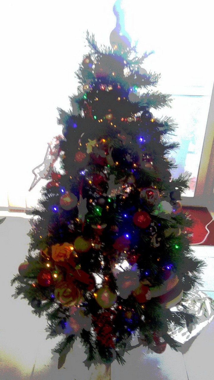 Buon Natale