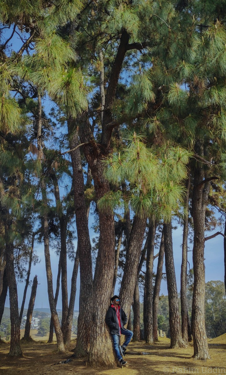 beautiful sights