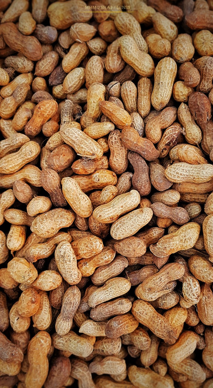 beans